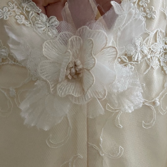 Claire Pettibone Ivory Constance Wedding Dress - Picture 11 of 15